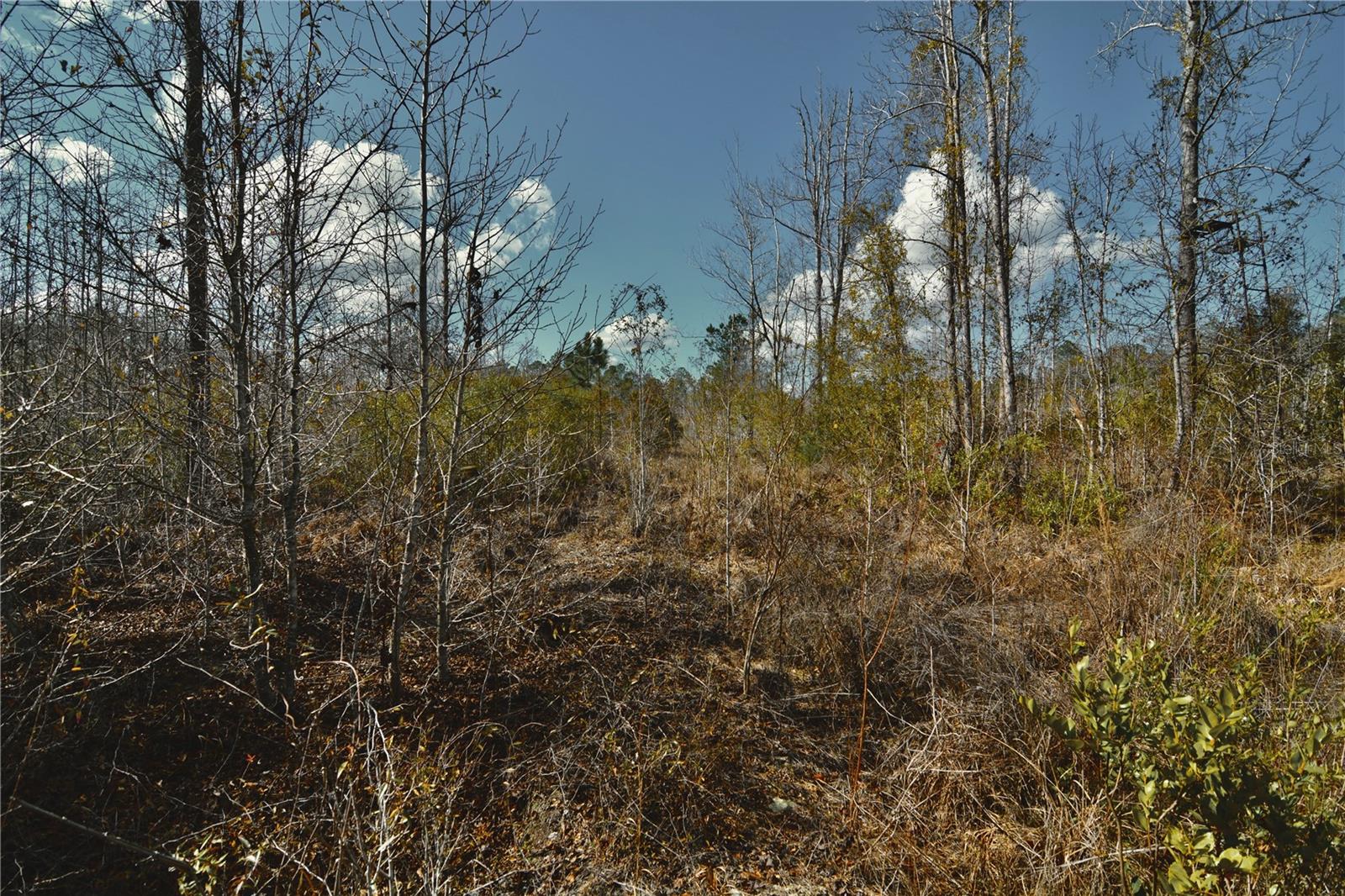 00 NW 89TH AVE, LAKE BUTLER, FL, 32054