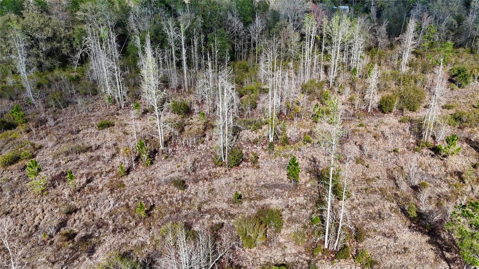 00 NW 89TH AVE, LAKE BUTLER, FL, 32054