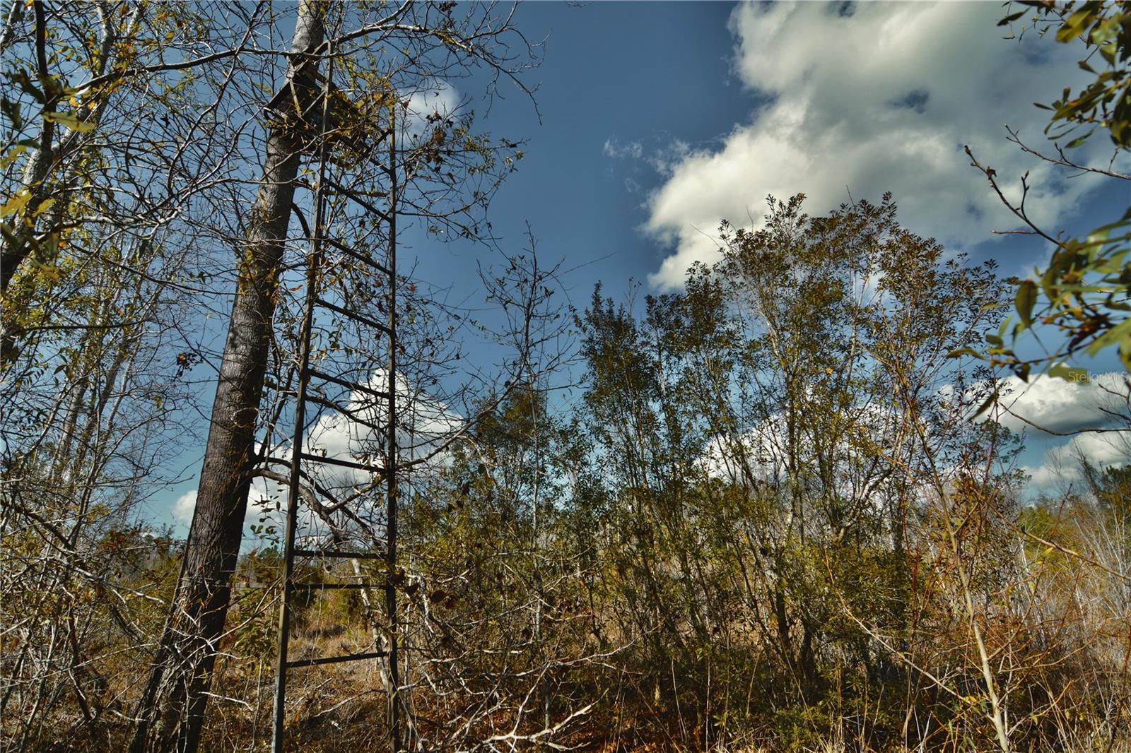 00 NW 89TH AVE, LAKE BUTLER, FL, 32054