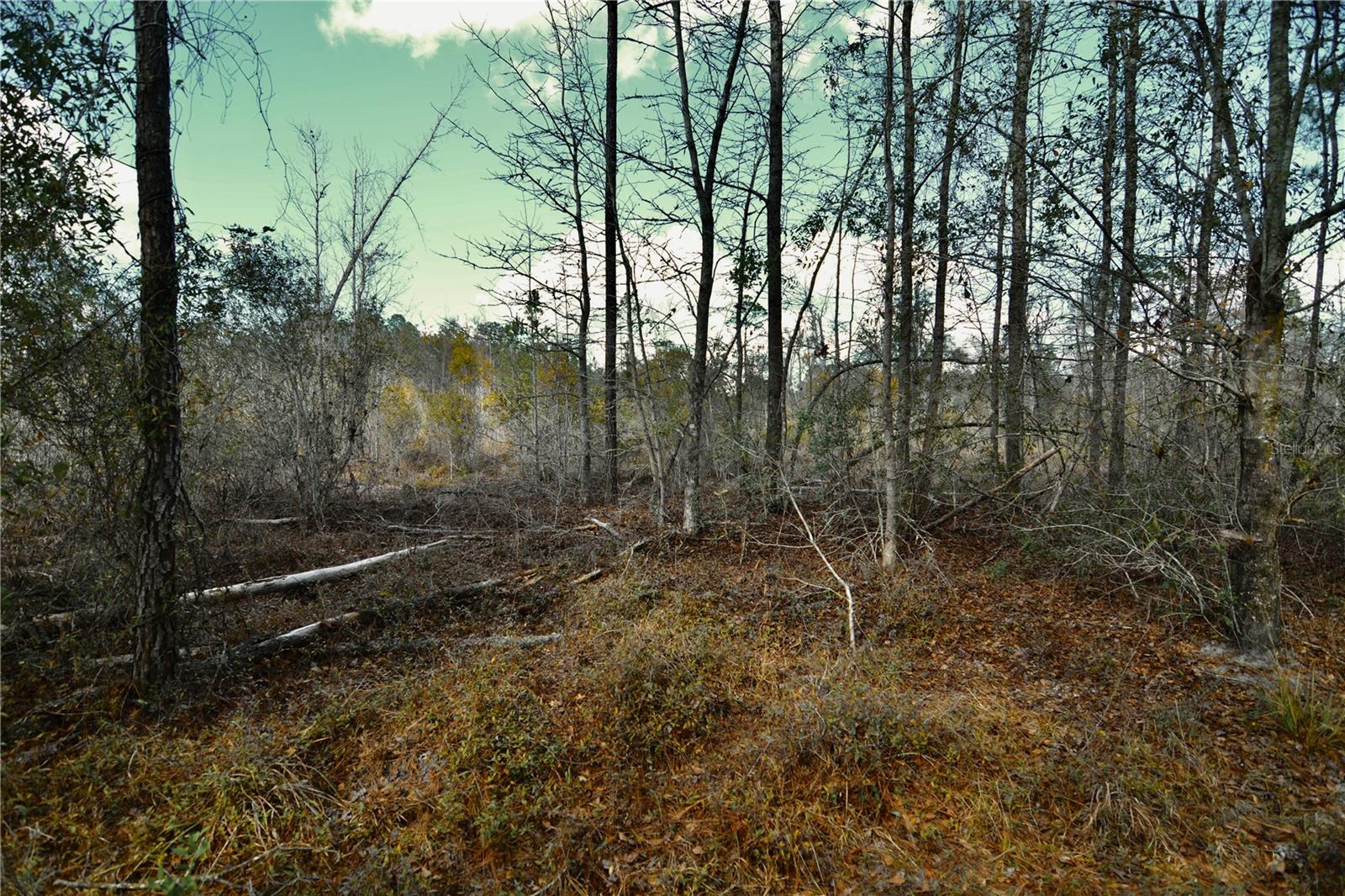 00 NW 89TH AVE, LAKE BUTLER, FL, 32054