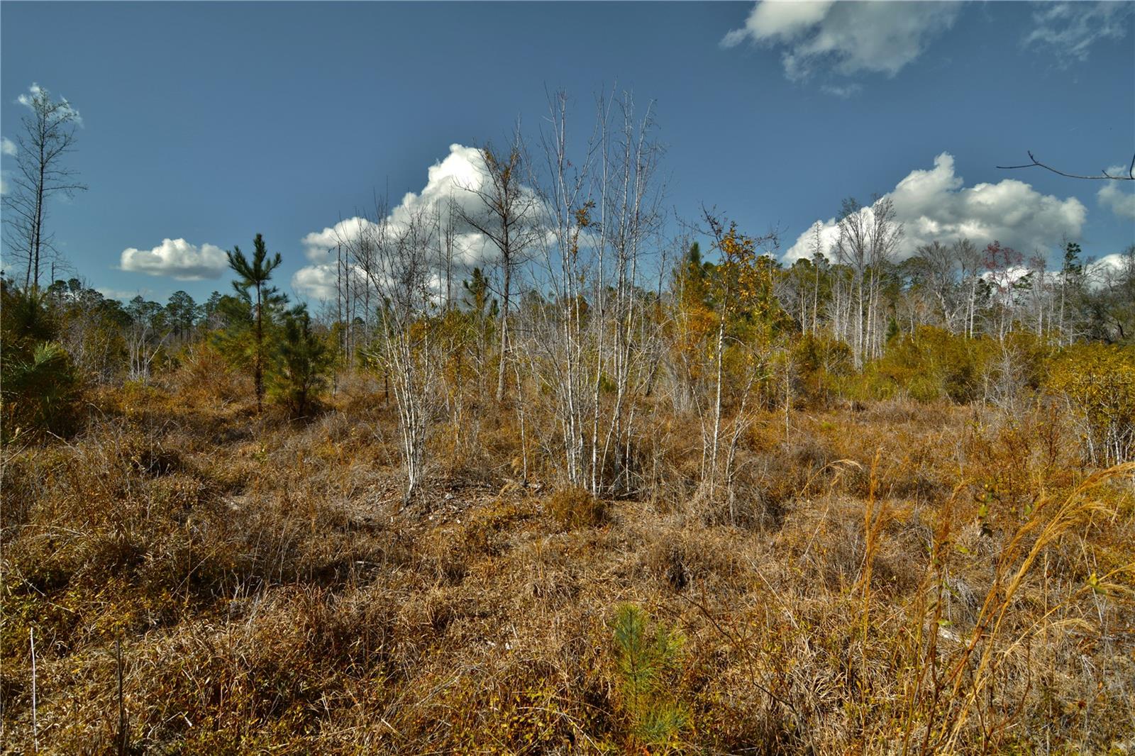 00 NW 89TH AVE, LAKE BUTLER, FL, 32054