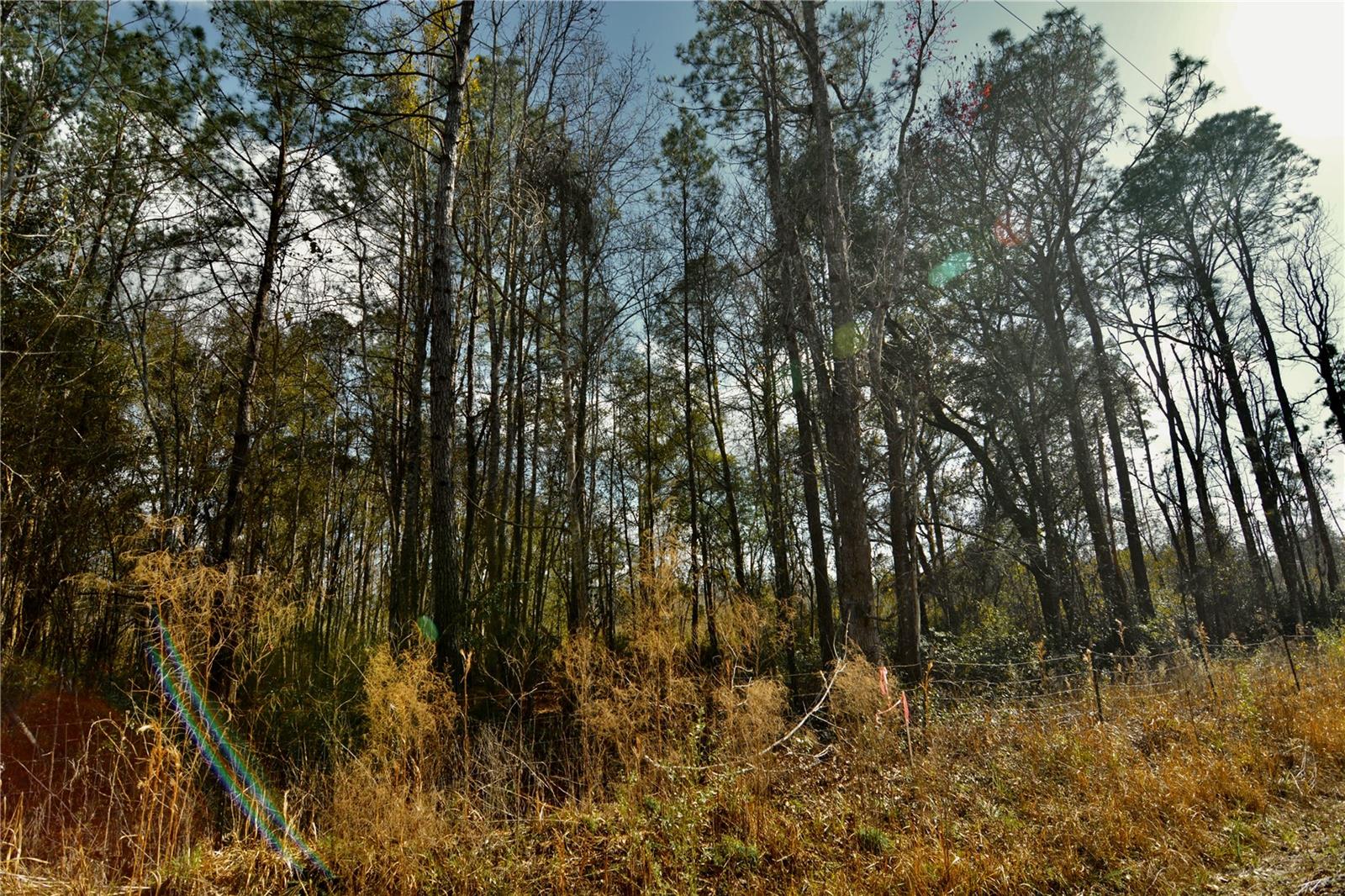 00 NW 89TH AVE, LAKE BUTLER, FL, 32054