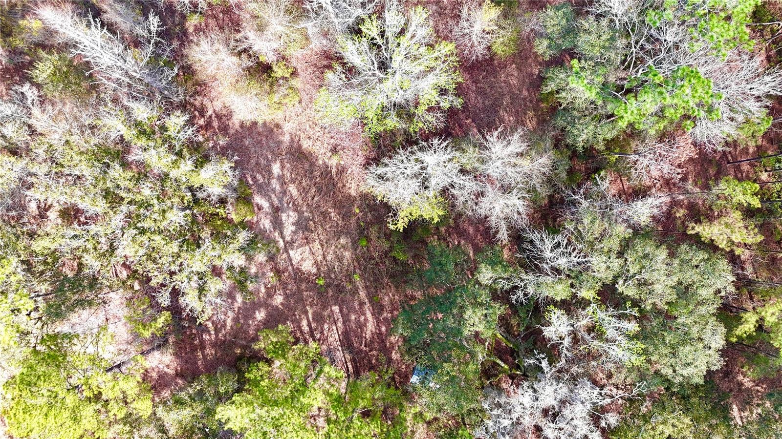 00 NW 89TH AVE, LAKE BUTLER, FL, 32054