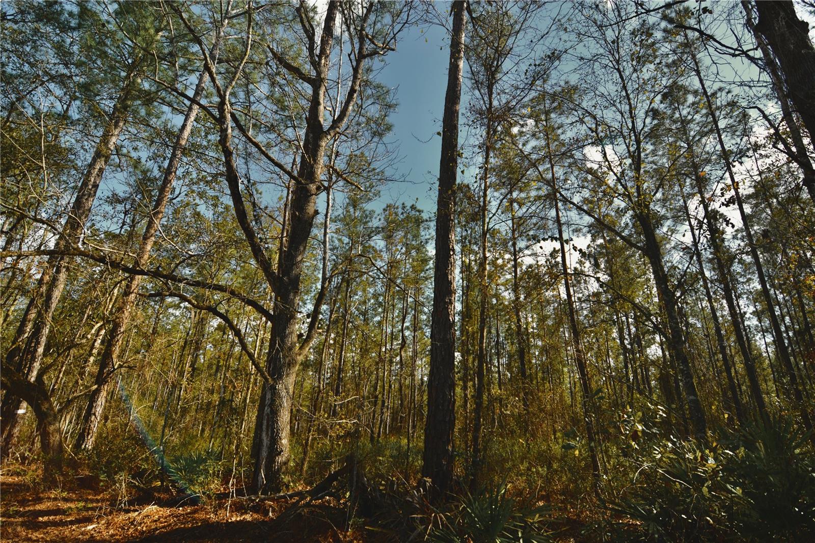 00 NW 89TH AVE, LAKE BUTLER, FL, 32054