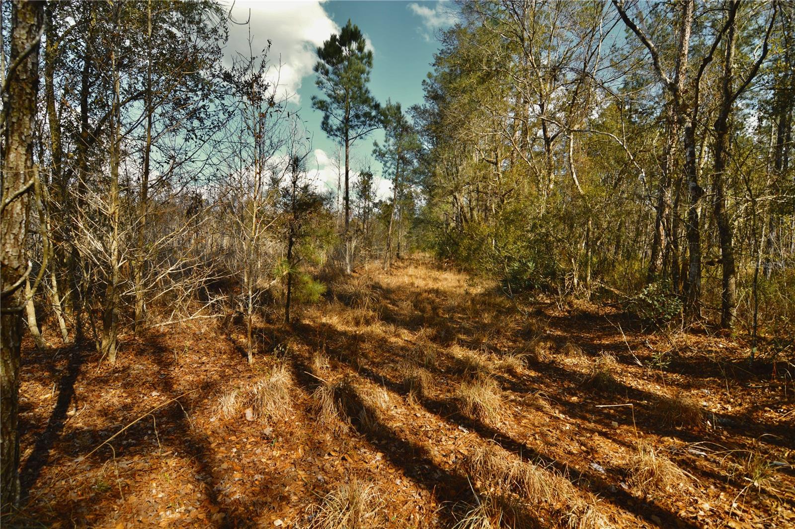 00 NW 89TH AVE, LAKE BUTLER, FL, 32054