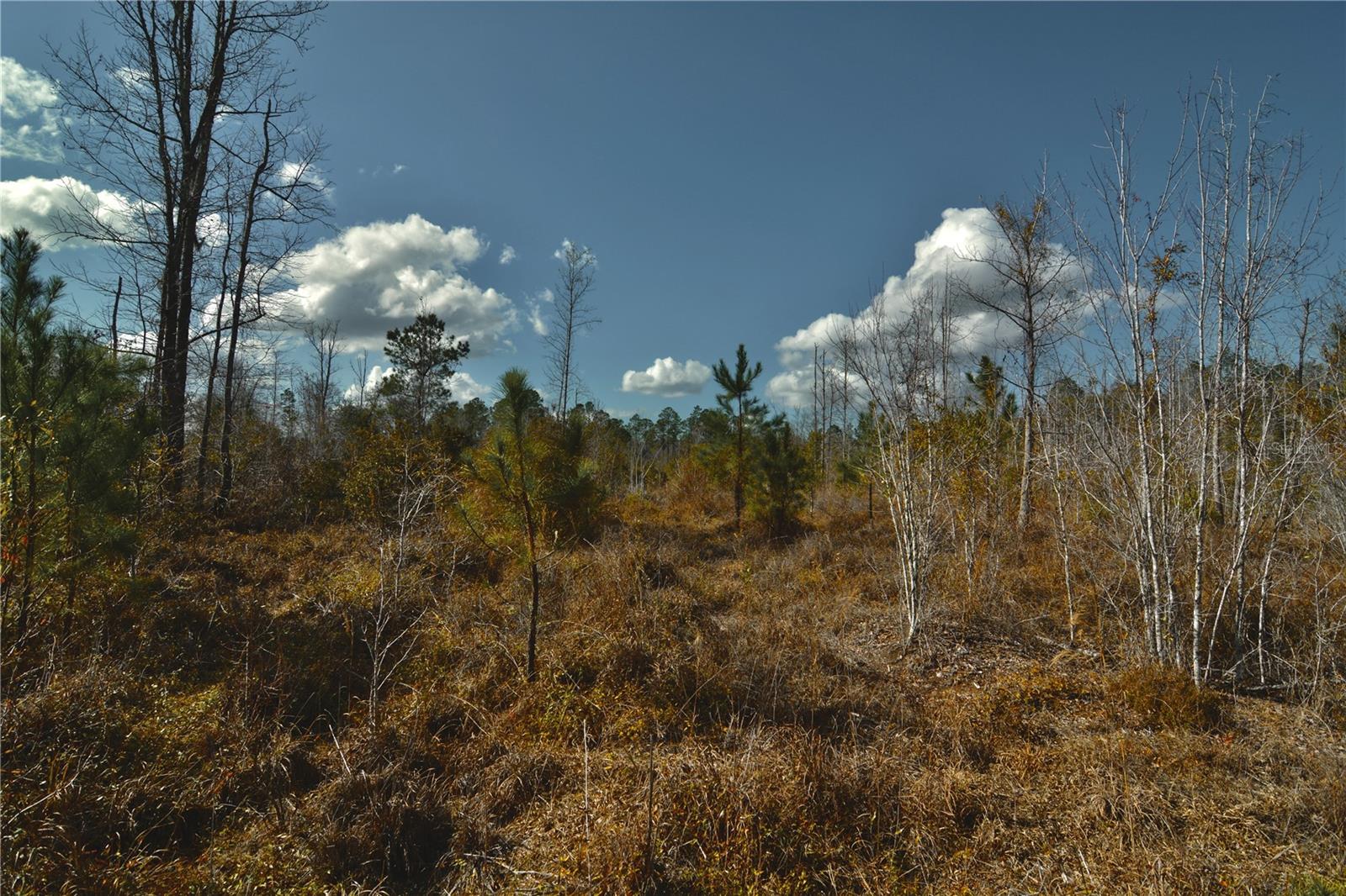 00 NW 89TH AVE, LAKE BUTLER, FL, 32054