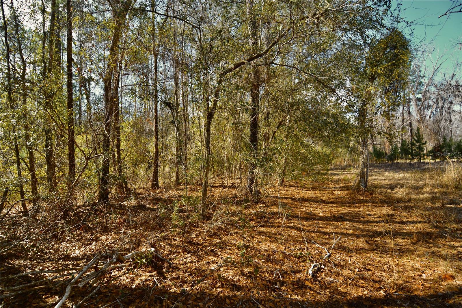 00 NW 89TH AVE, LAKE BUTLER, FL, 32054