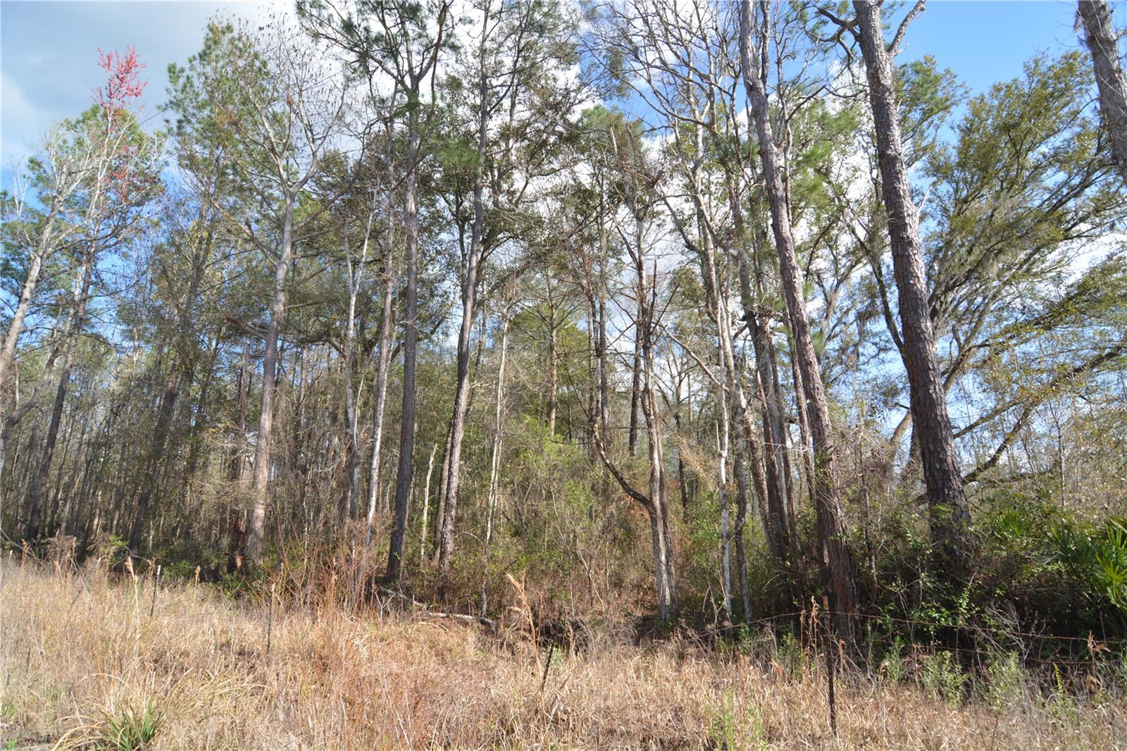 00 NW 89TH AVE, LAKE BUTLER, FL, 32054