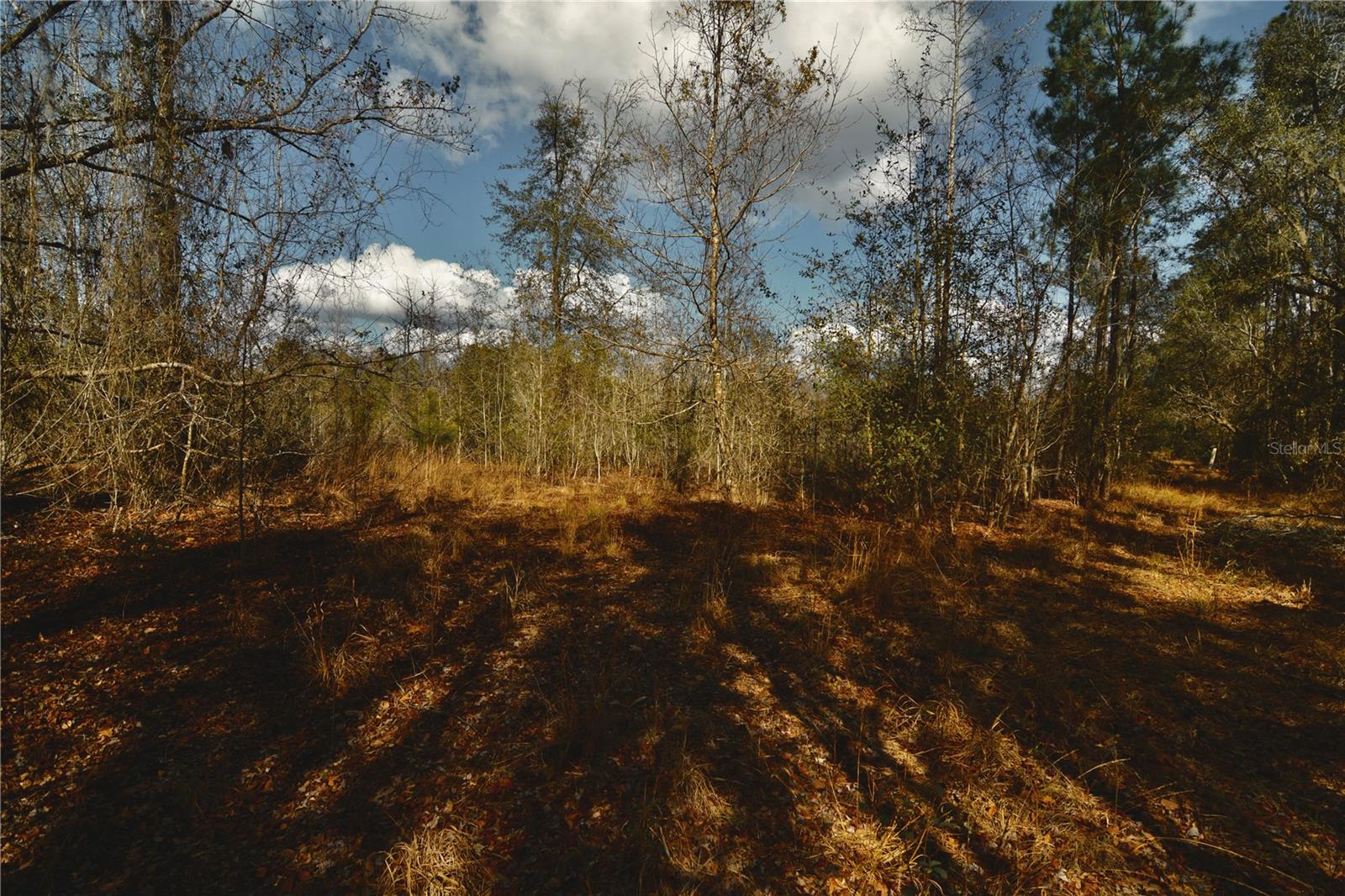 00 NW 89TH AVE, LAKE BUTLER, FL, 32054