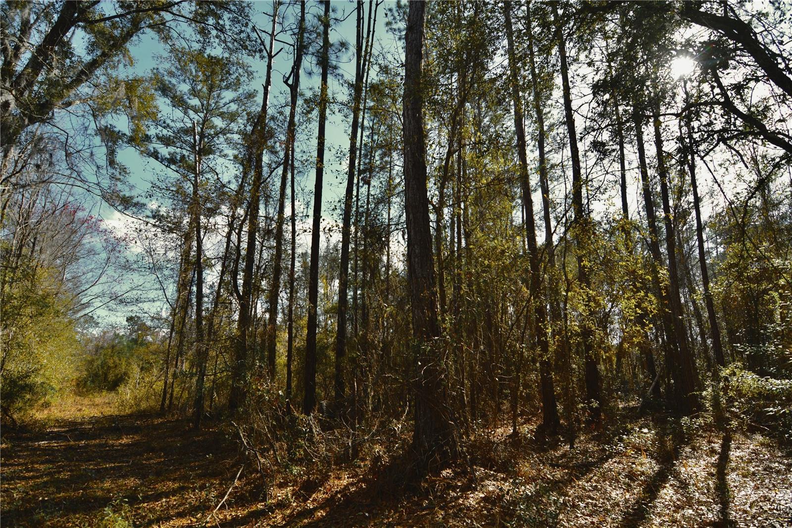 00 NW 89TH AVE, LAKE BUTLER, FL, 32054