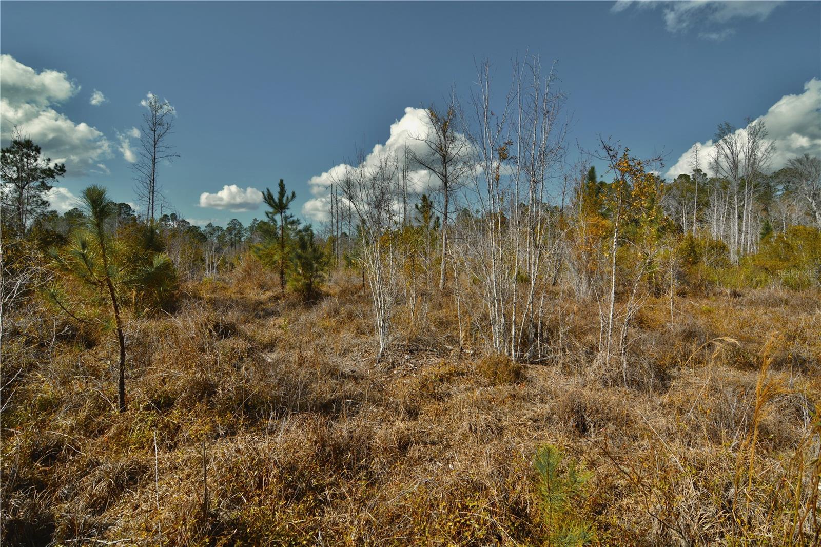 00 NW 89TH AVE, LAKE BUTLER, FL, 32054