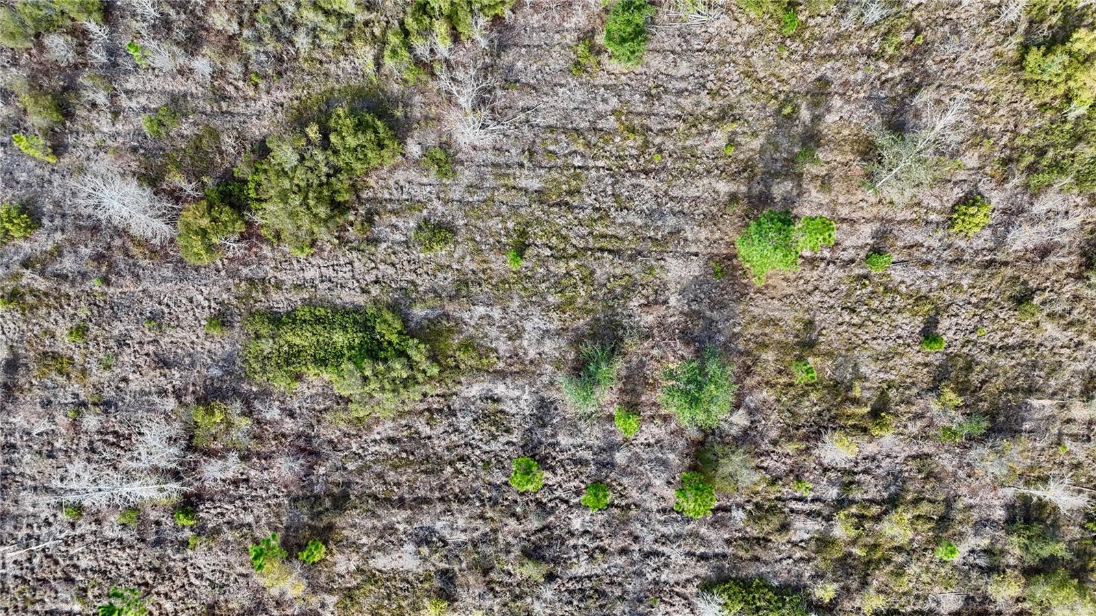 00 NW 89TH AVE, LAKE BUTLER, FL, 32054