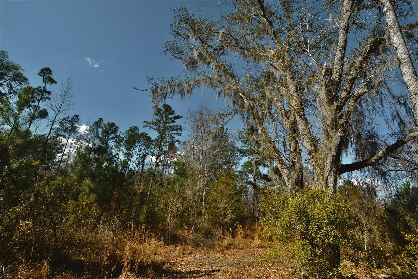 00 NW 89TH AVE, LAKE BUTLER, FL, 32054