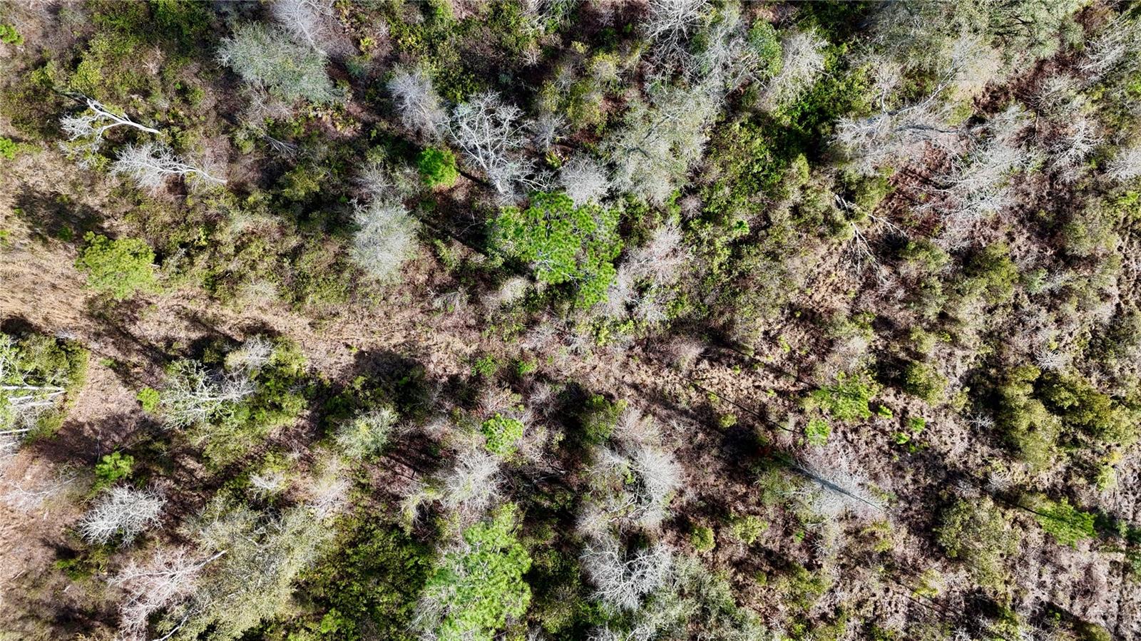 00 NW 89TH AVE, LAKE BUTLER, FL, 32054