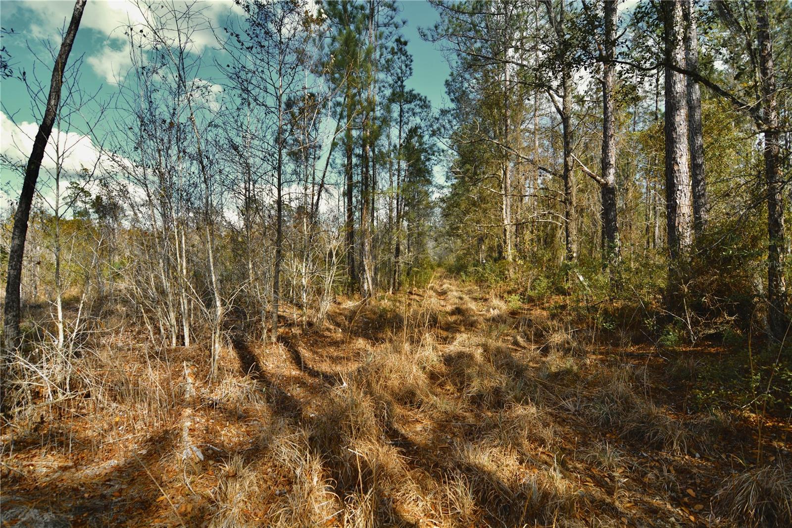 00 NW 89TH AVE, LAKE BUTLER, FL, 32054