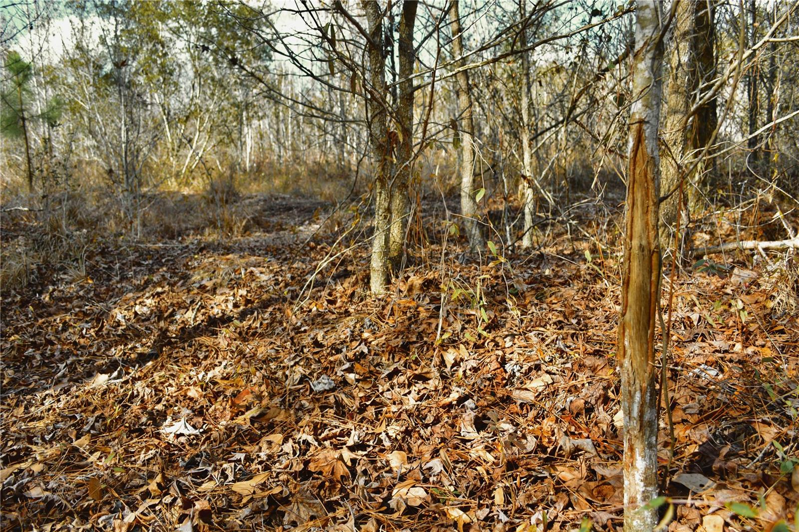 00 NW 89TH AVE, LAKE BUTLER, FL, 32054