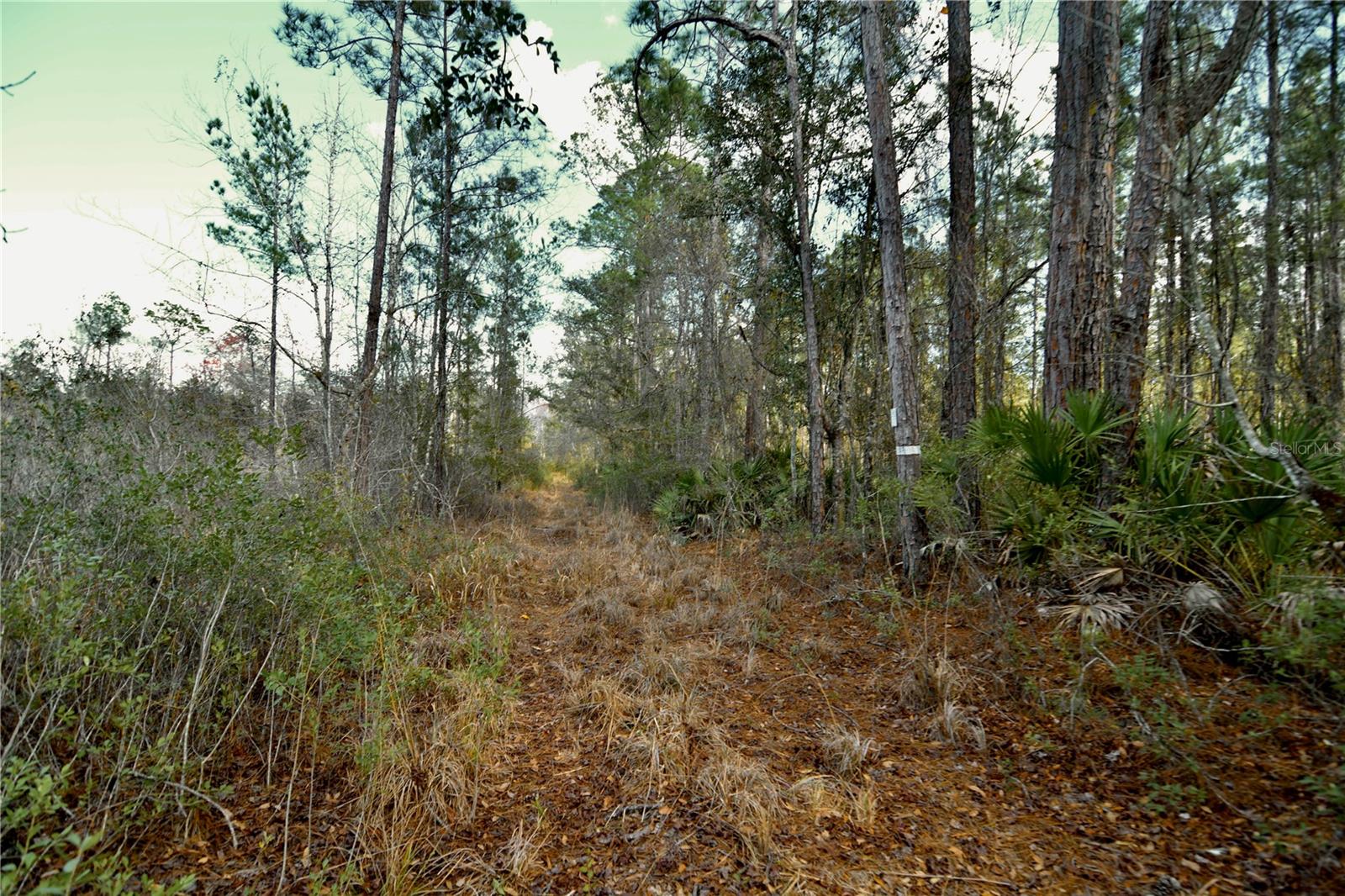 00 NW 89TH AVE, LAKE BUTLER, FL, 32054