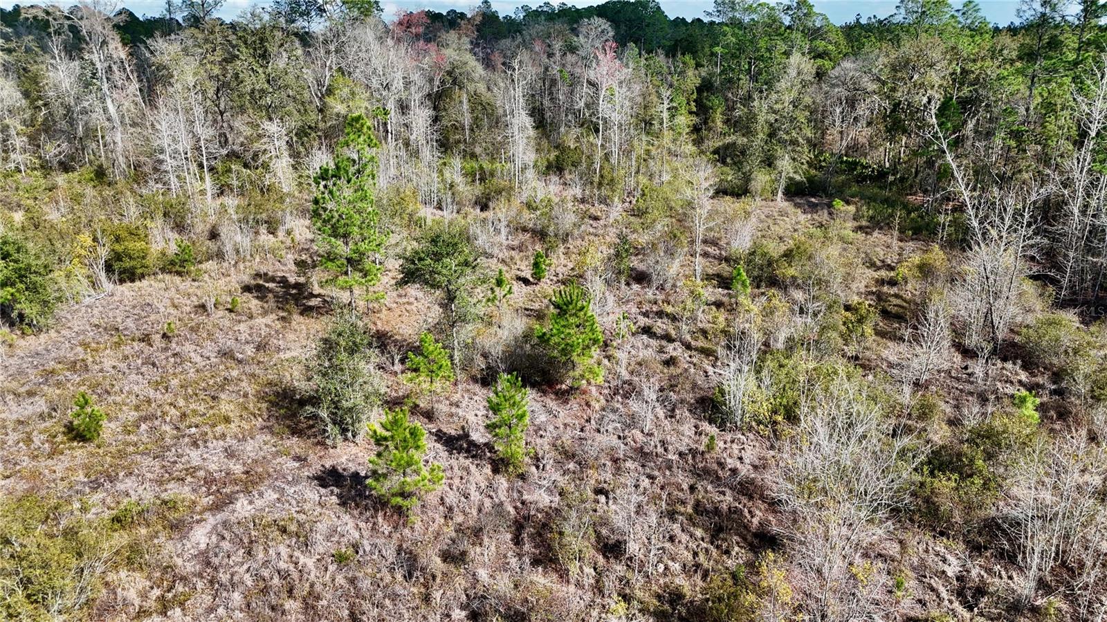 00 NW 89TH AVE, LAKE BUTLER, FL, 32054