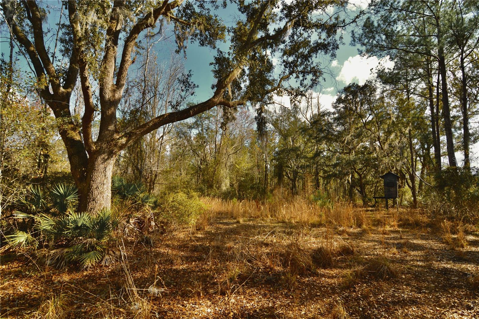 00 NW 89TH AVE, LAKE BUTLER, FL, 32054