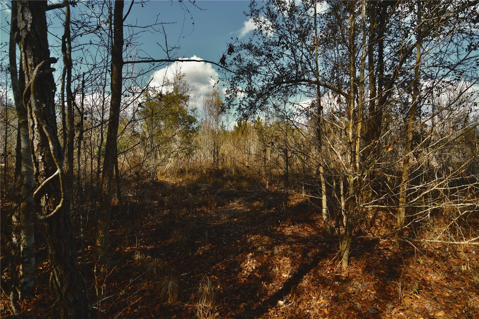 00 NW 89TH AVE, LAKE BUTLER, FL, 32054