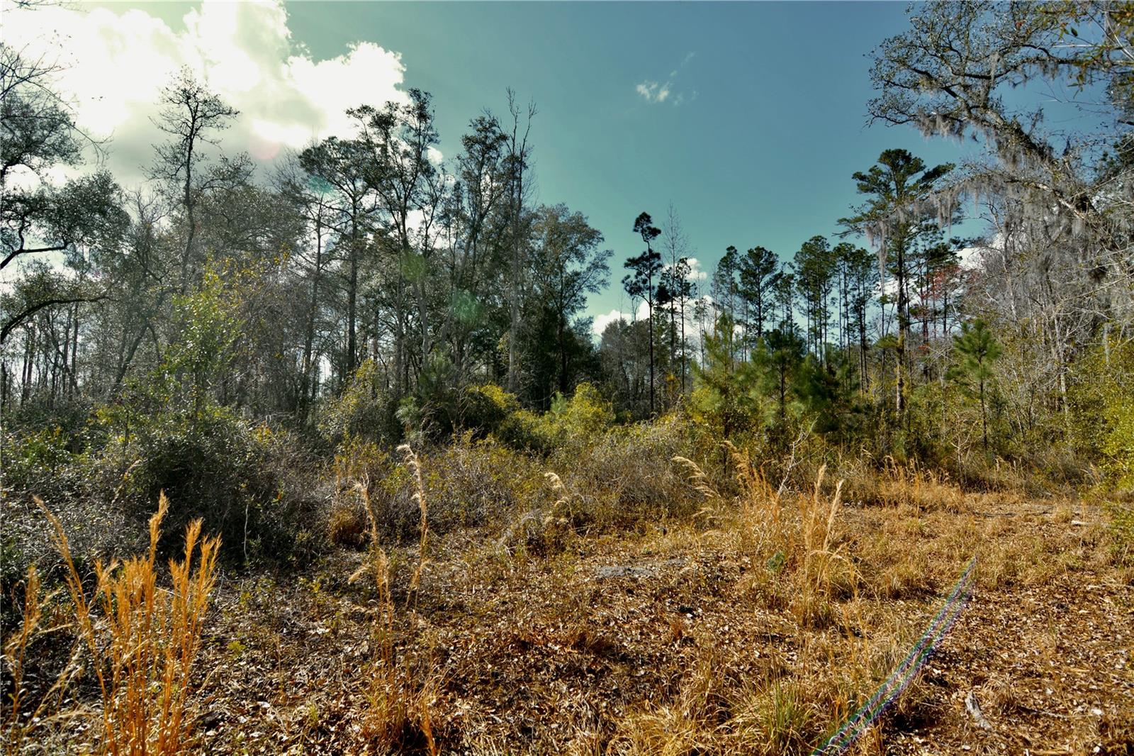 00 NW 89TH AVE, LAKE BUTLER, FL, 32054