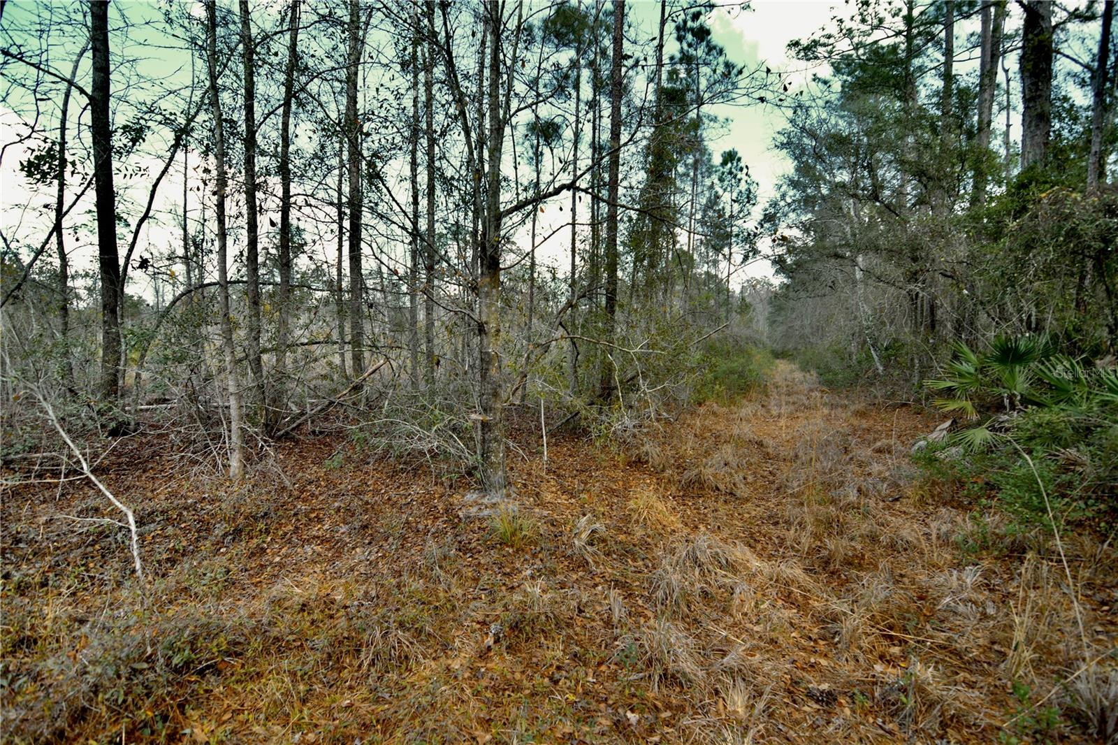 00 NW 89TH AVE, LAKE BUTLER, FL, 32054