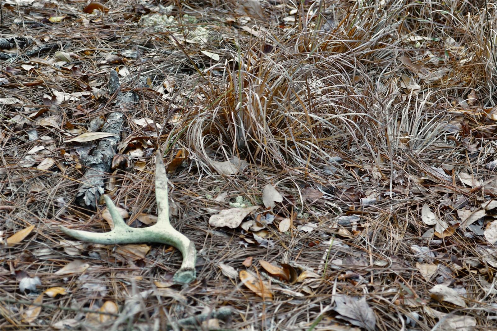 00 NW 89TH AVE, LAKE BUTLER, FL, 32054