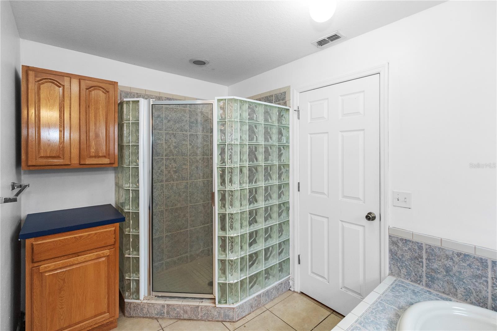 1415 E ANNIE ST, TAMPA, FL, 33612