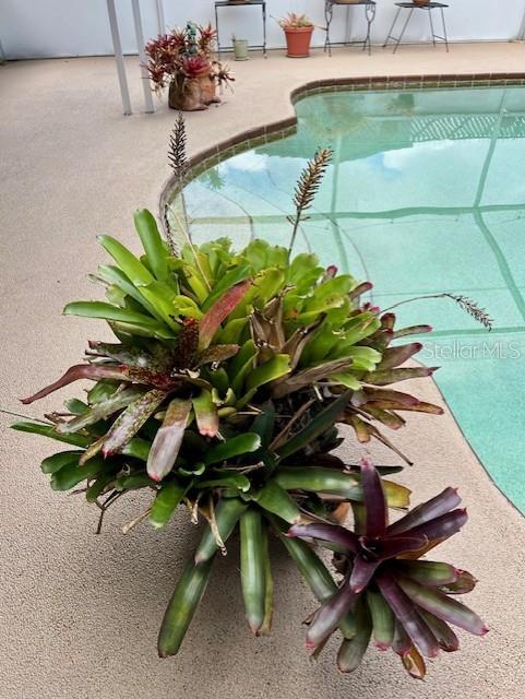 3131 LOWNDES DR, WINTER PARK, FL, 32792