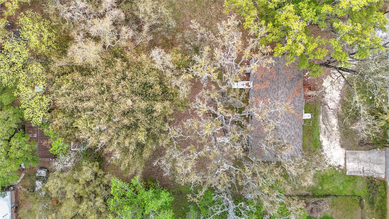 7158 SUNNYSIDE DR, BROOKSVILLE, FL, 34601