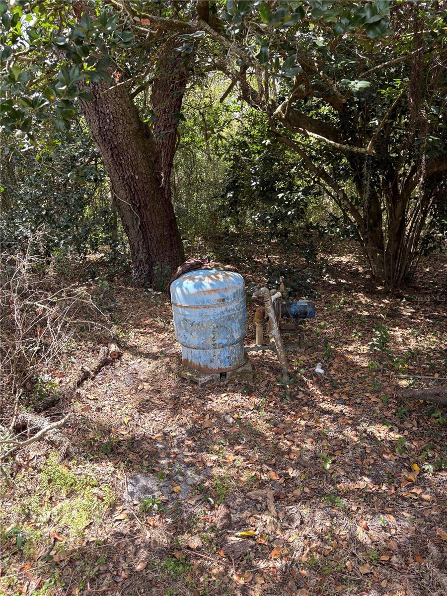 21249 DURDEN RD, DADE CITY, FL, 33523