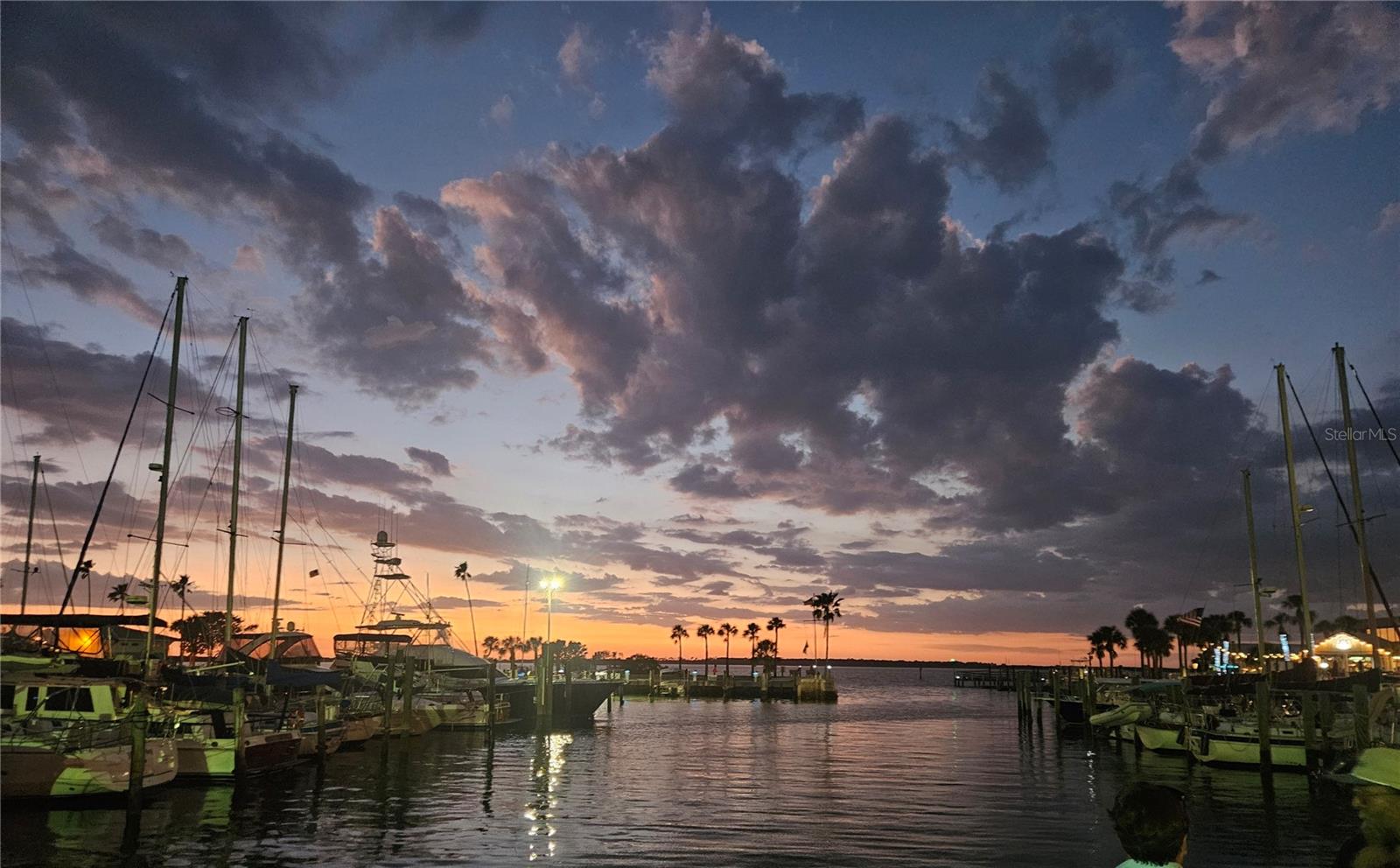 1363 OVERLEA DR, DUNEDIN, FL, 34698