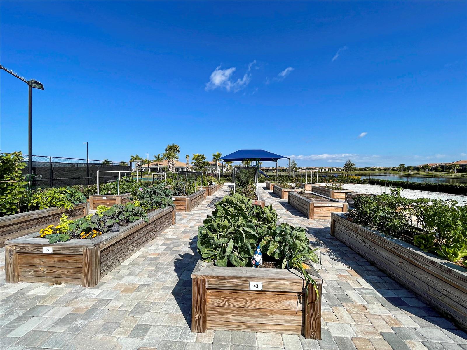 13341 IPOLITA ST, VENICE, FL, 34293