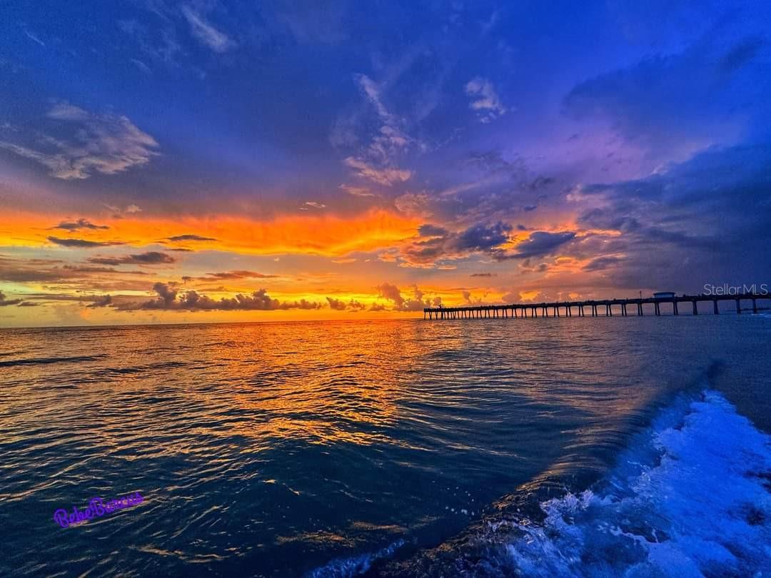 13341 IPOLITA ST, VENICE, FL, 34293