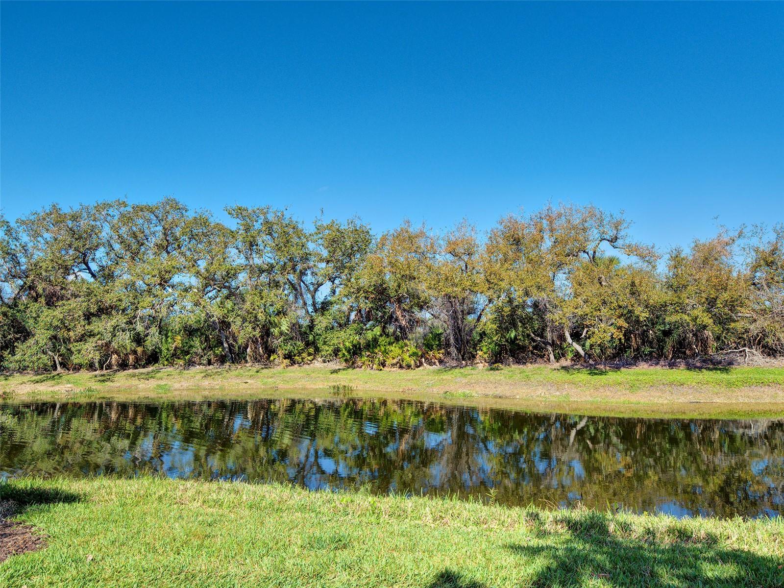 13341 IPOLITA ST, VENICE, FL, 34293