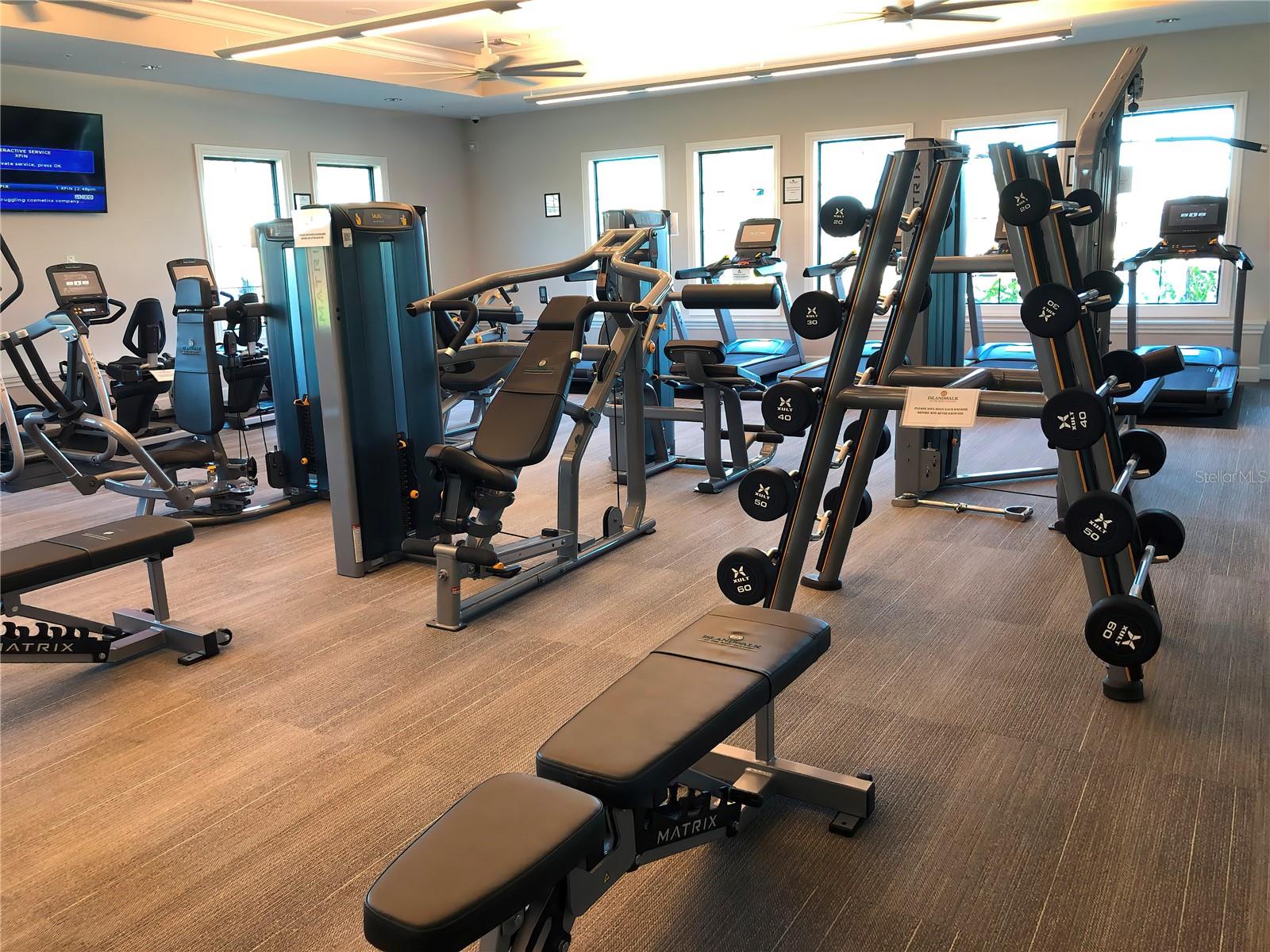 13341 IPOLITA ST, VENICE, FL, 34293