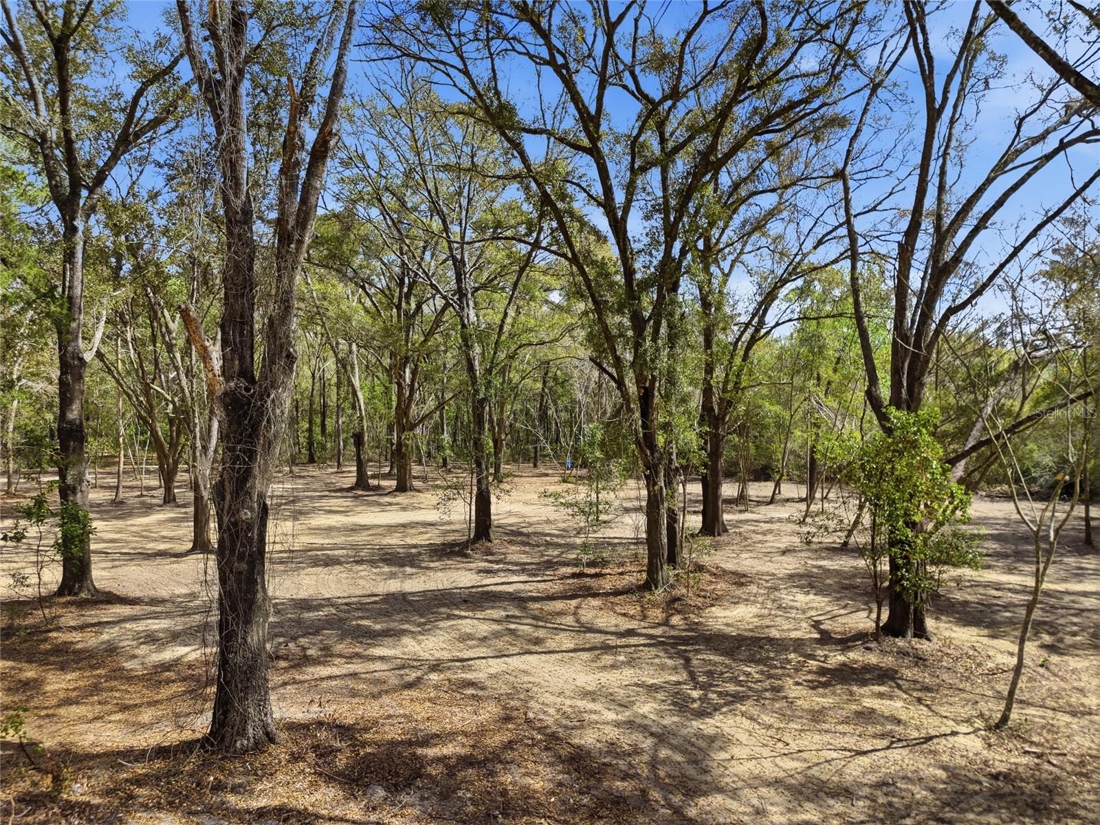 8469 SE 71ST ST, NEWBERRY, FL, 32669