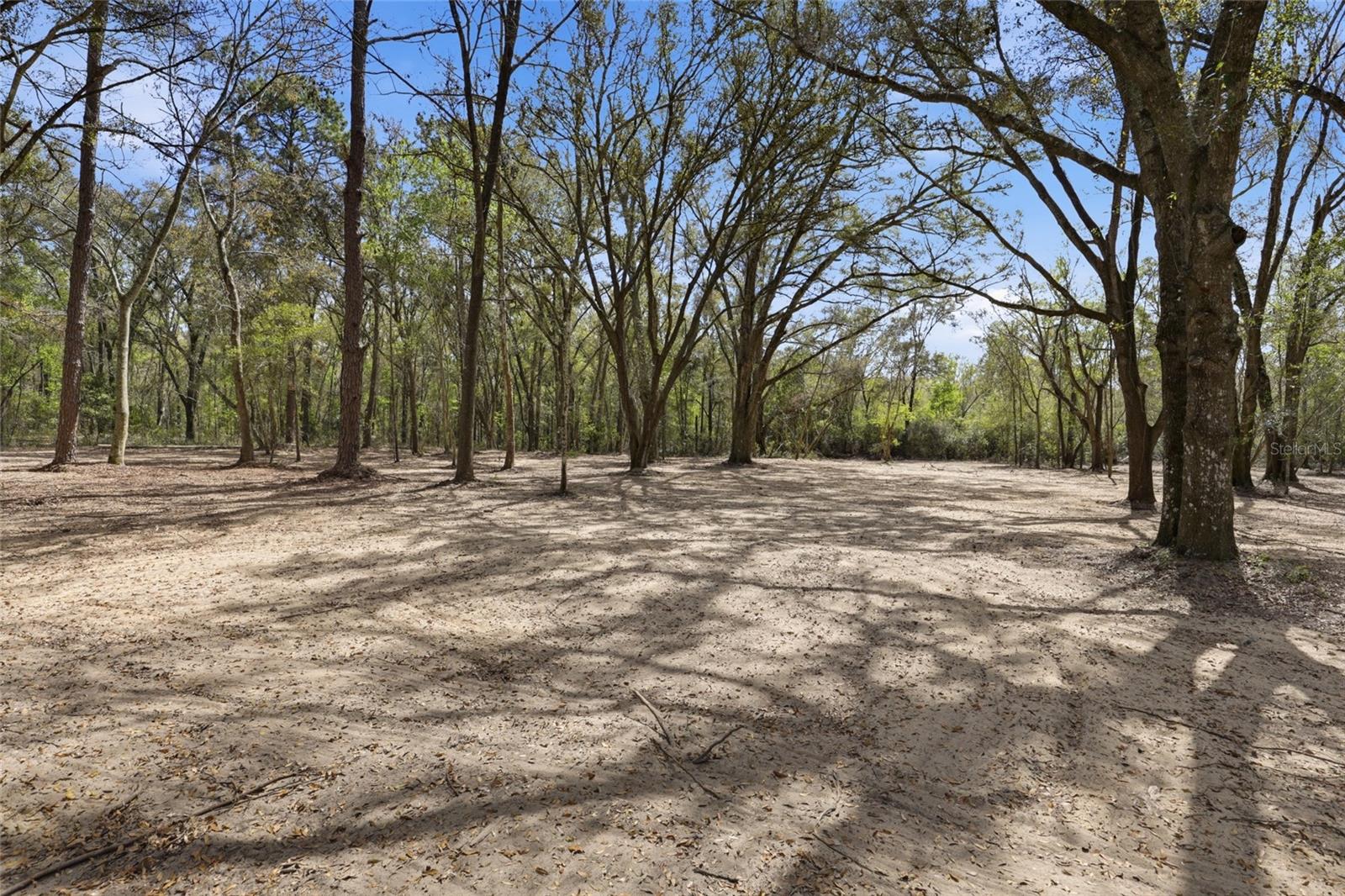 8469 SE 71ST ST, NEWBERRY, FL, 32669