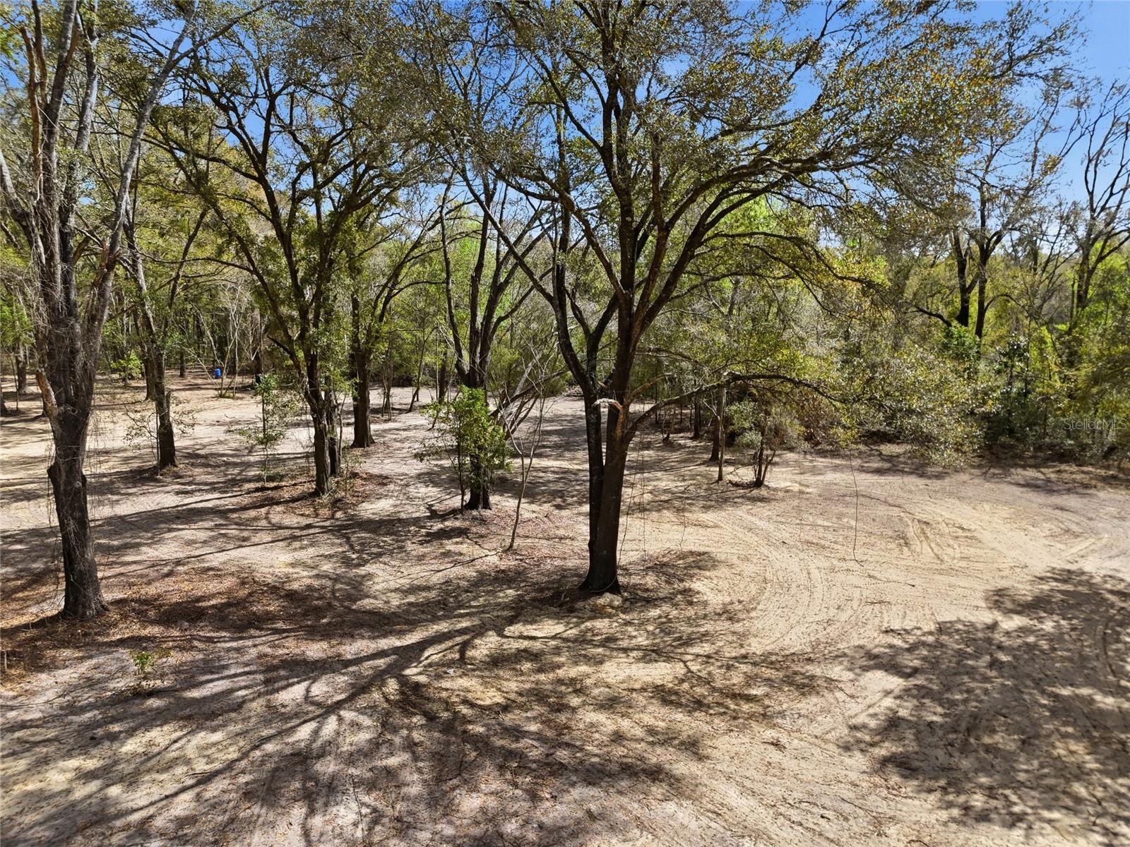 8469 SE 71ST ST, NEWBERRY, FL, 32669