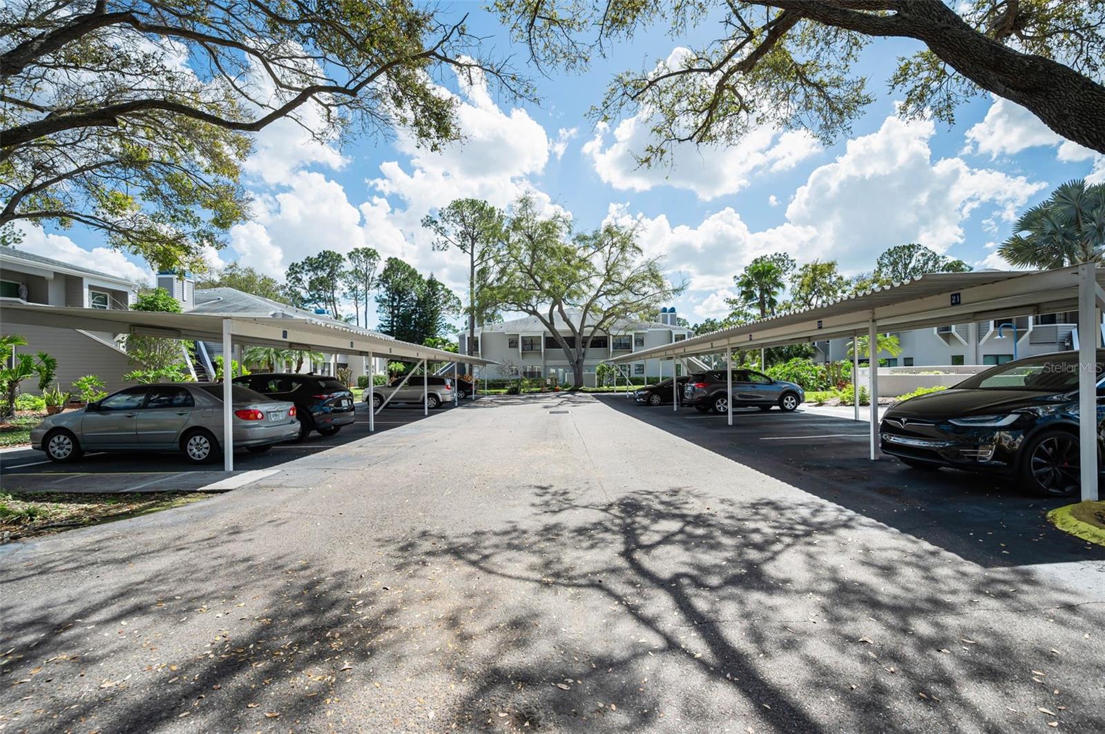 10626 LONGWOOD DR #102, SEMINOLE, FL, 33777