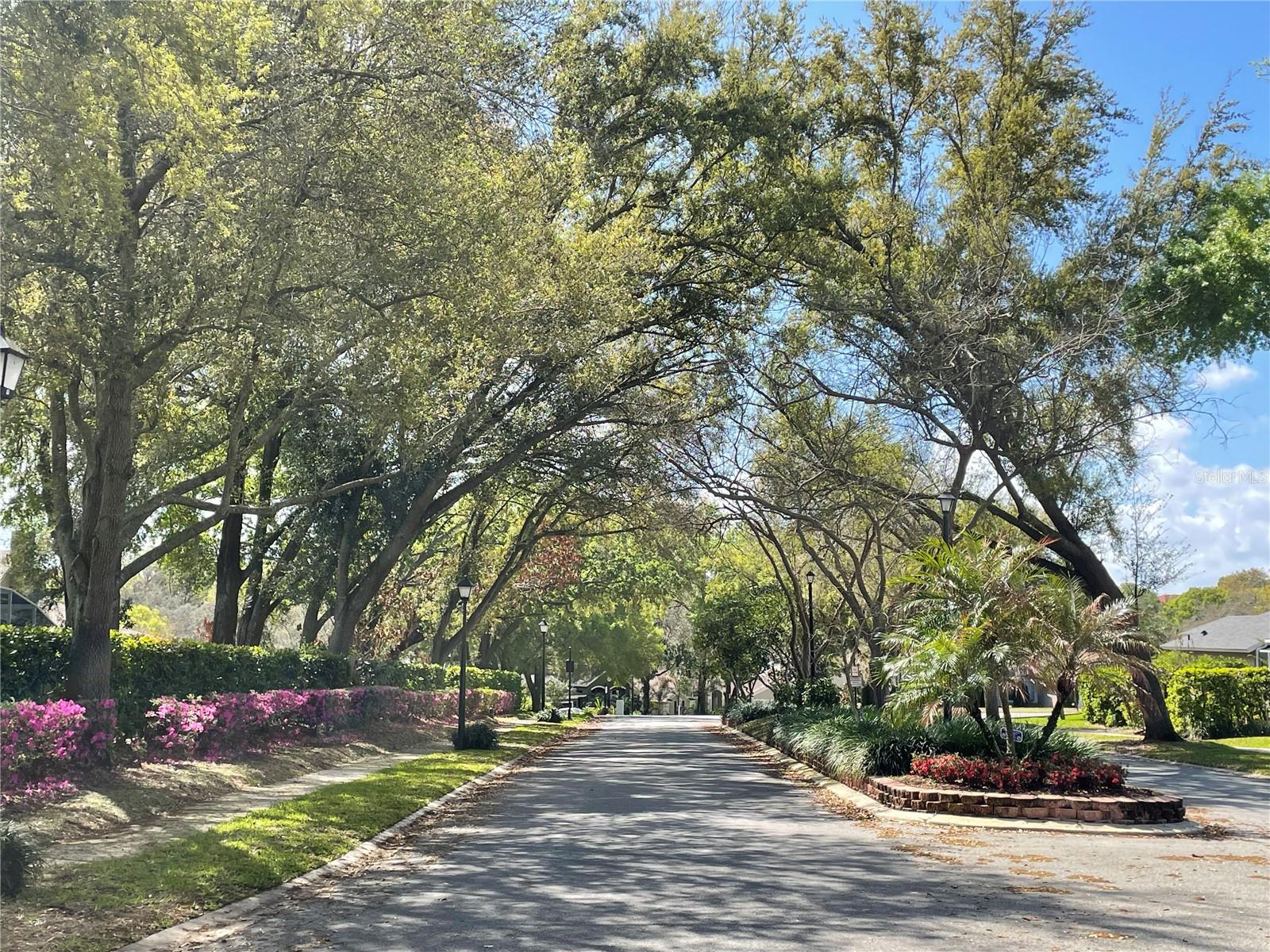 1007 FEATHERSTONE CIR, OCOEE, FL, 34761