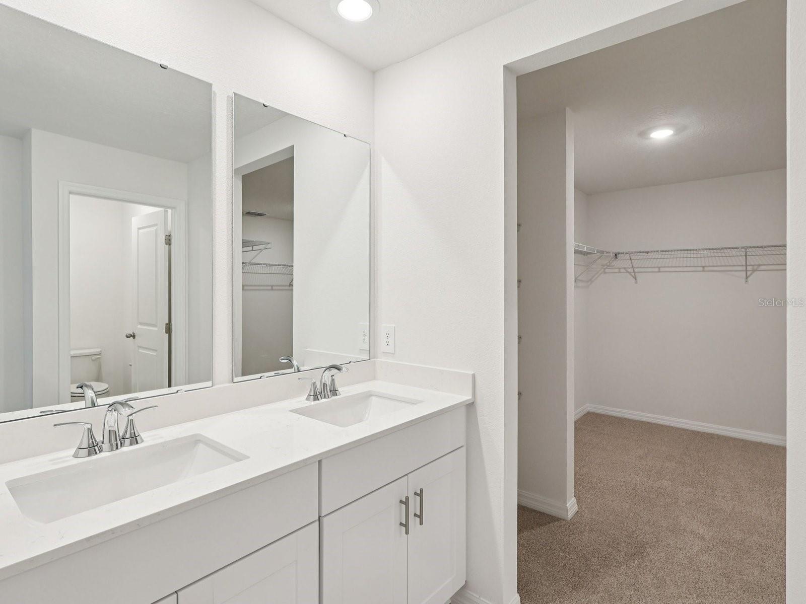 799 SUNSHOWER DR, LADY LAKE, FL, 32159