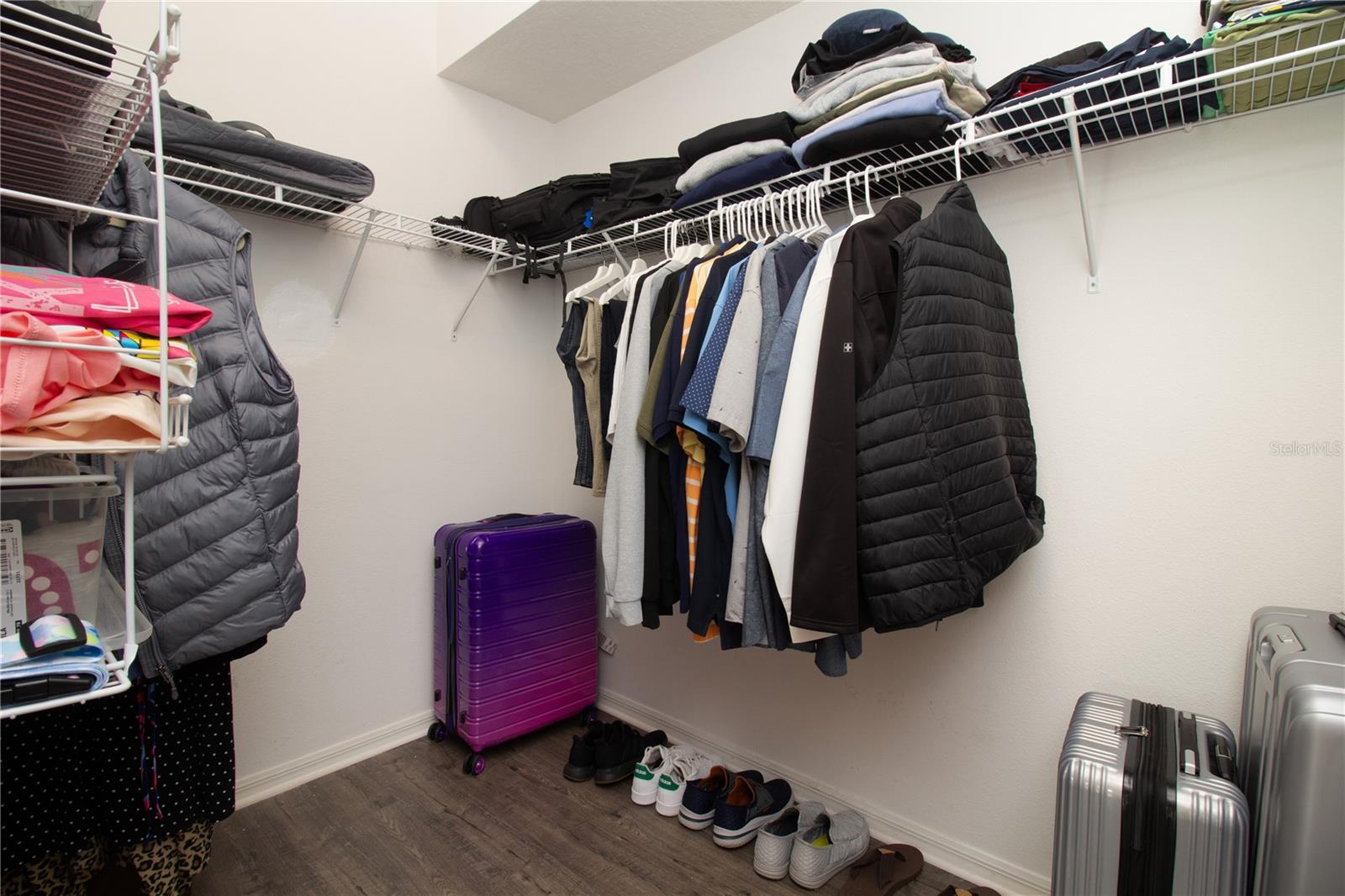 25500 GEDDY DR, LAND O LAKES, FL, 34639