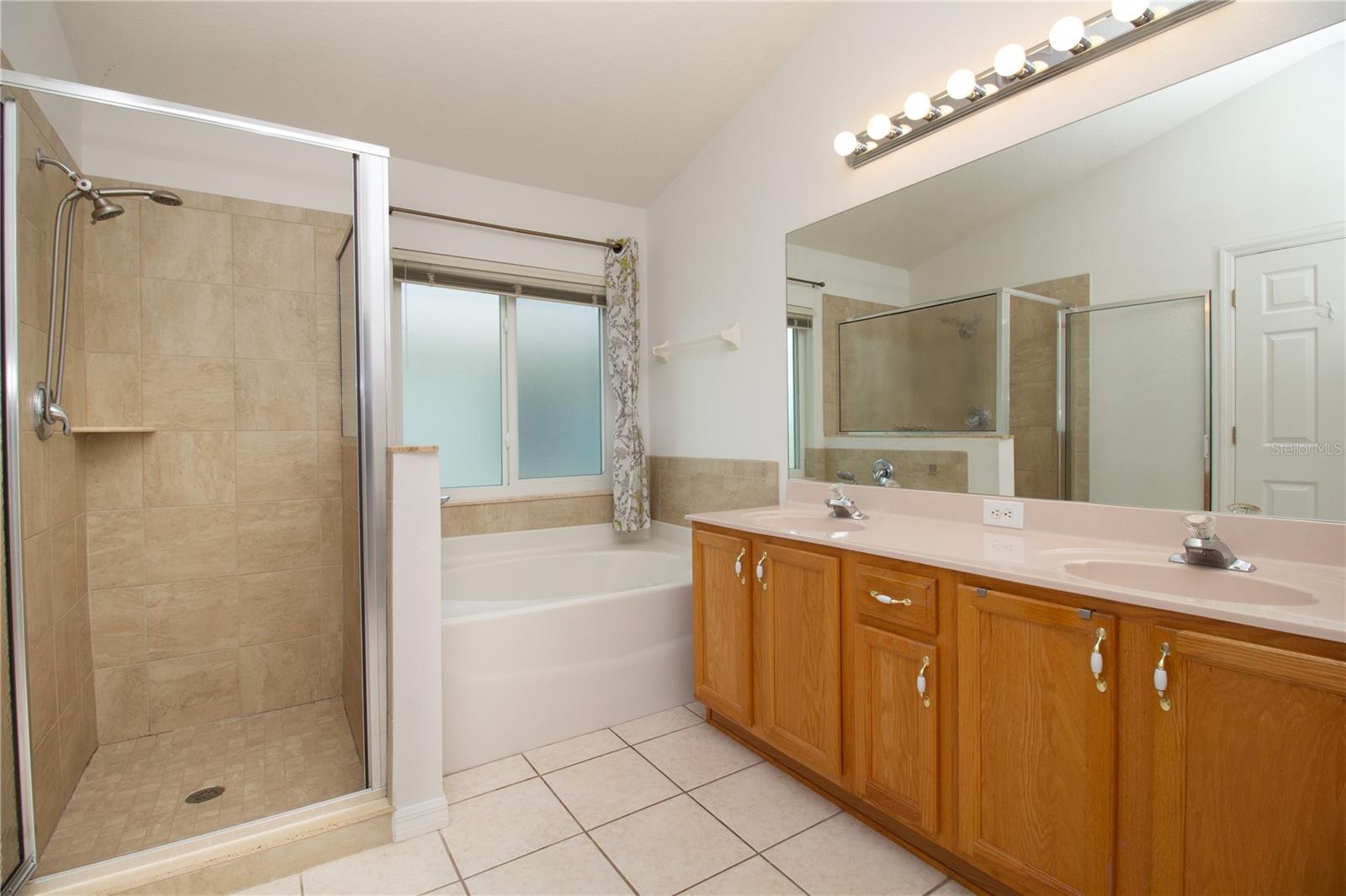 25500 GEDDY DR, LAND O LAKES, FL, 34639