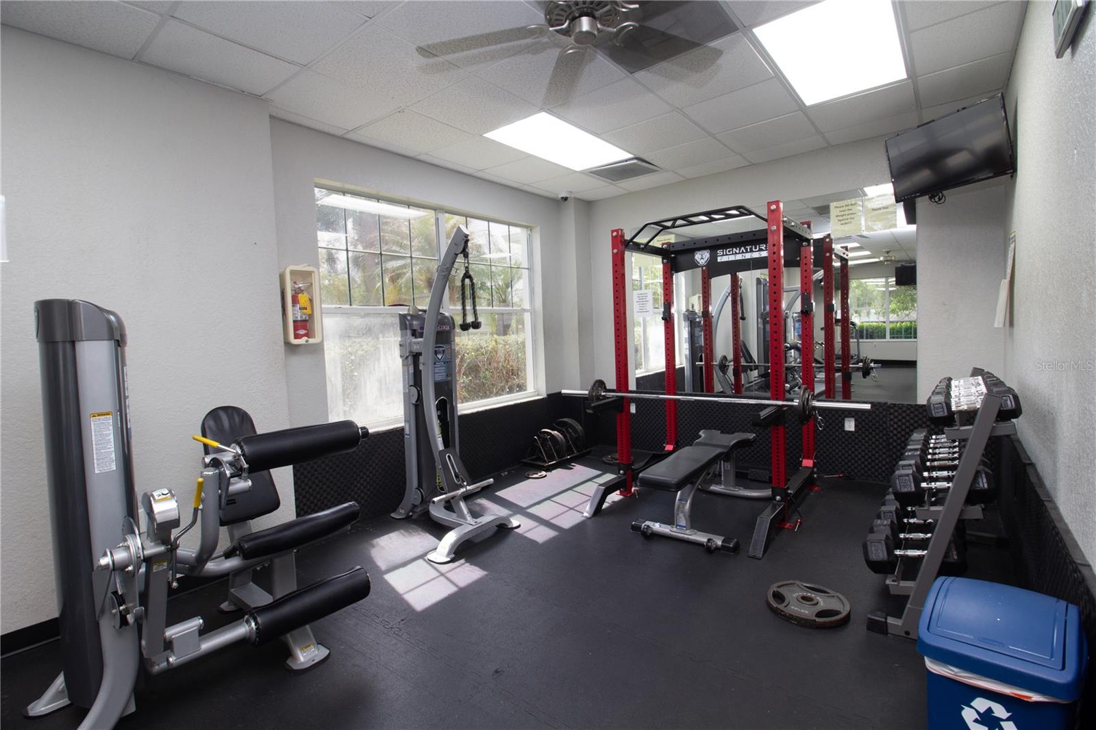 25500 GEDDY DR, LAND O LAKES, FL, 34639