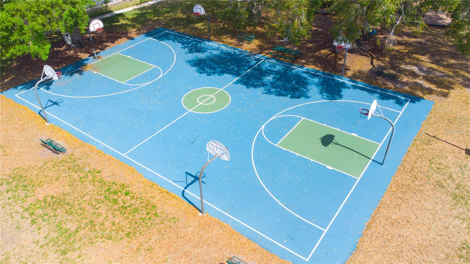 25500 GEDDY DR, LAND O LAKES, FL, 34639