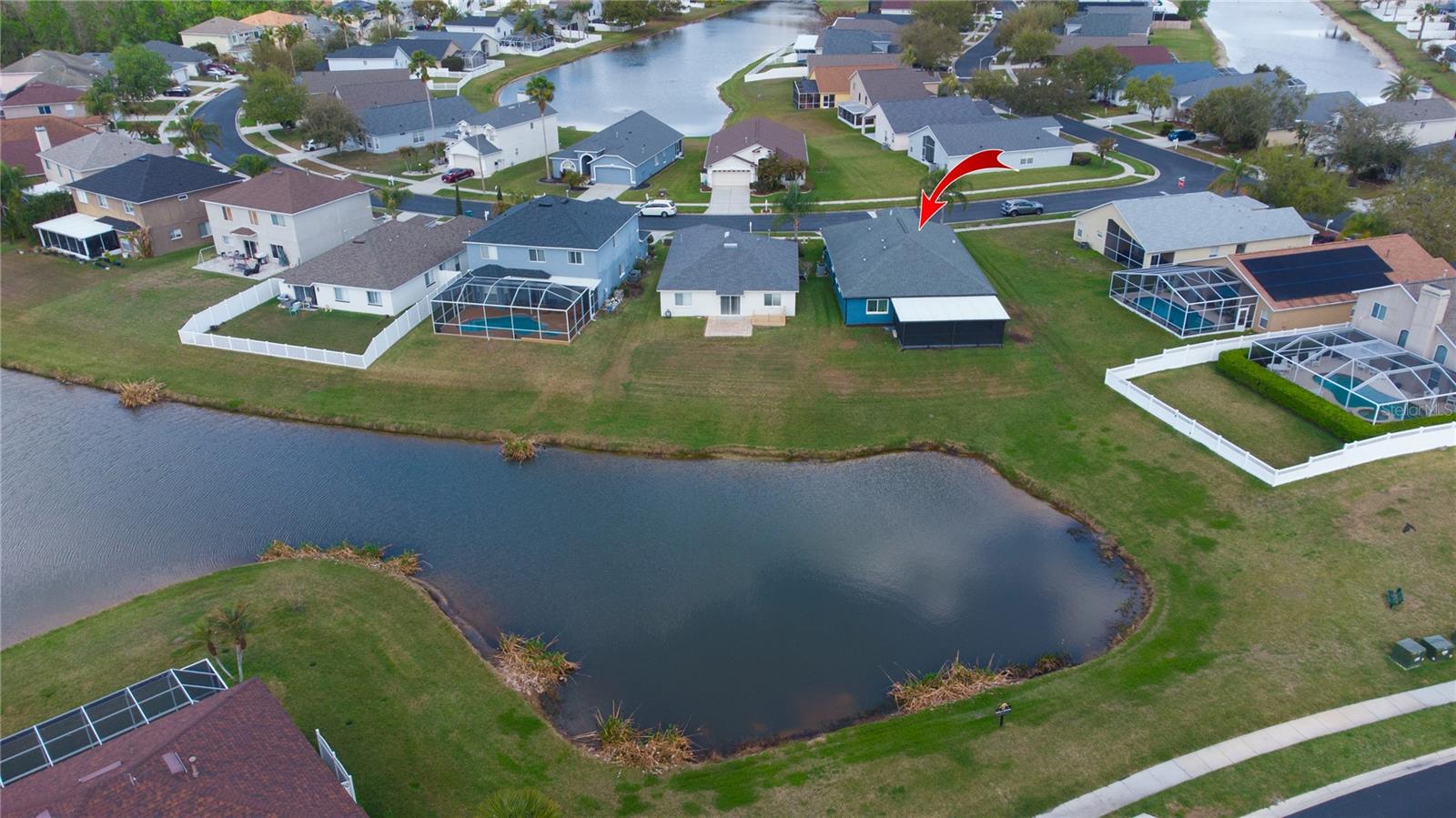 25500 GEDDY DR, LAND O LAKES, FL, 34639