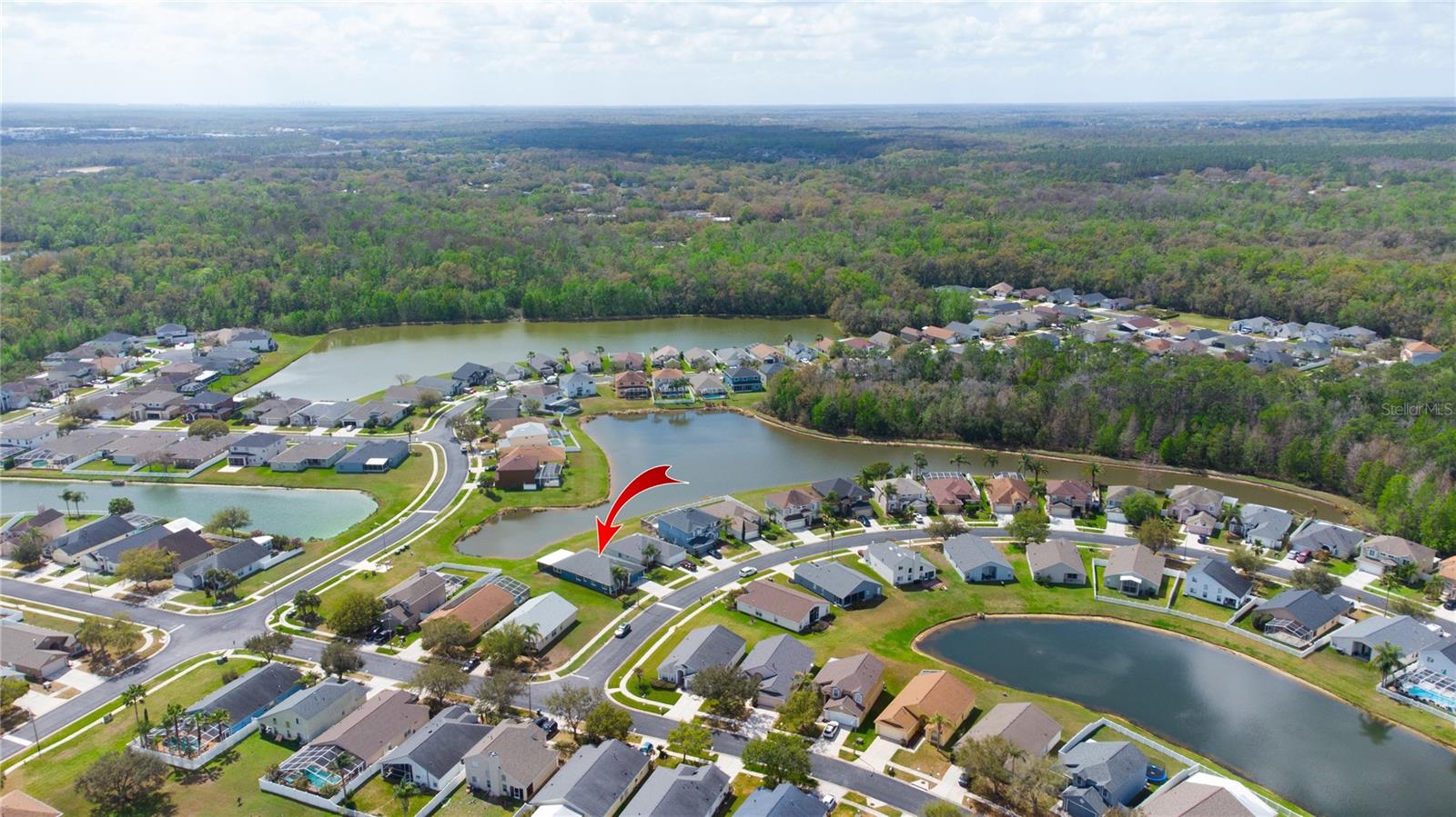25500 GEDDY DR, LAND O LAKES, FL, 34639