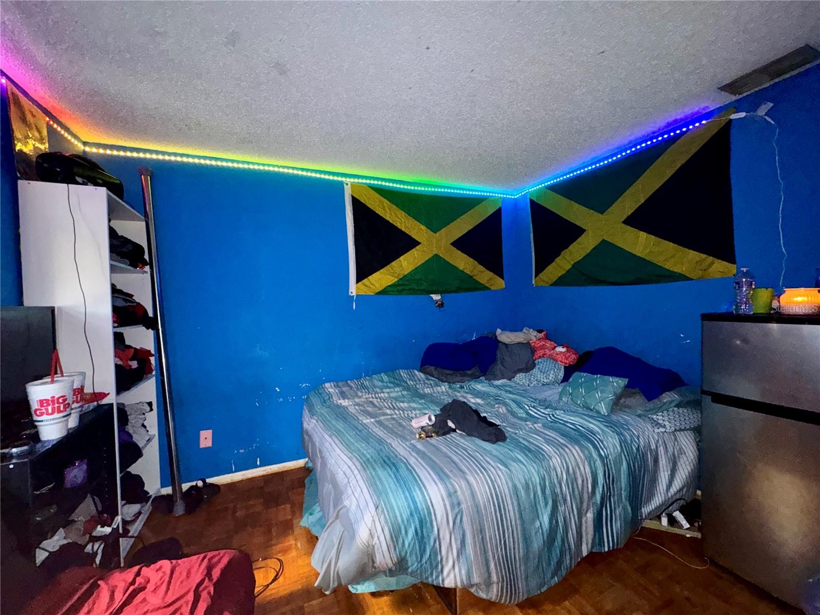 6726 TIMBERLANE DR, TAMPA, FL, 33615