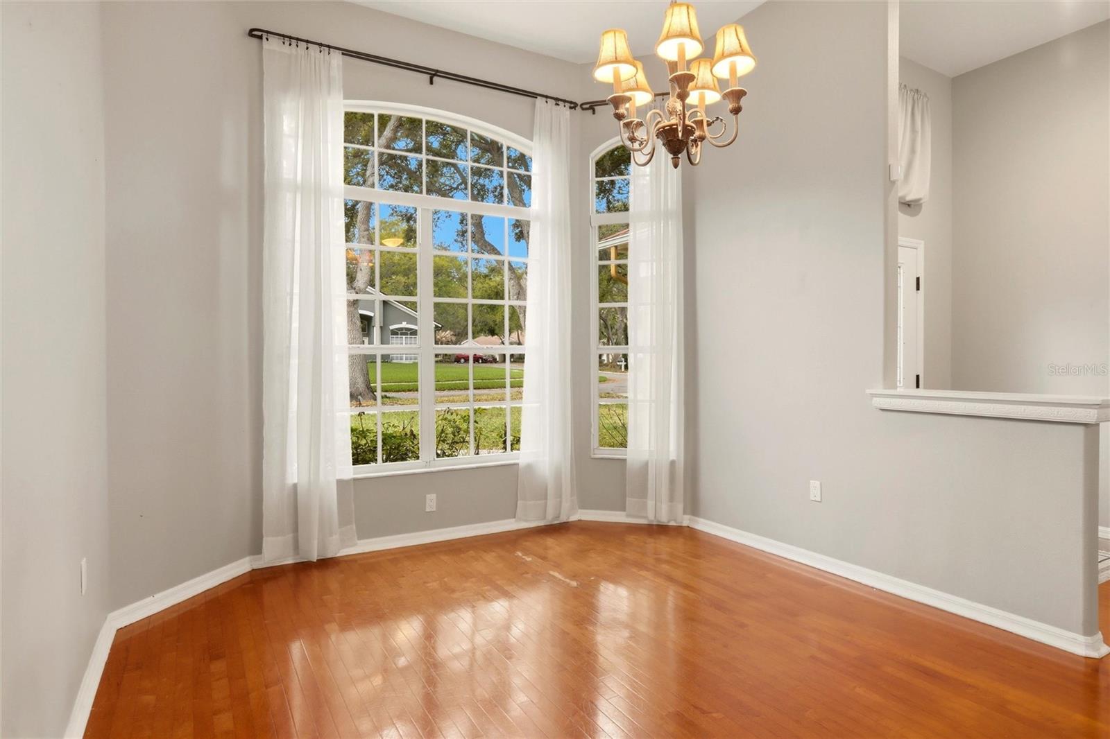 5114 TWIN CREEKS DR, VALRICO, FL, 33596